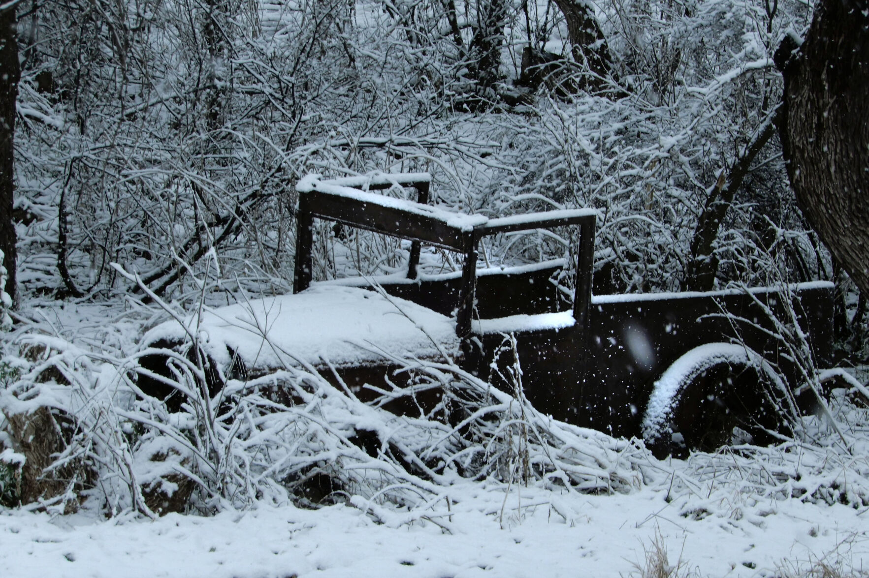 Snow, Santa Cruz County, 2023